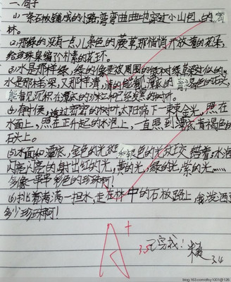 好句子摘录动作说明