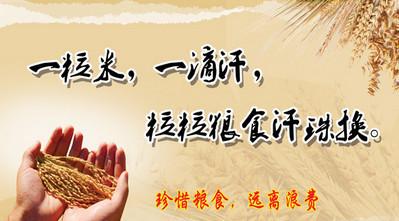 保存英文报价