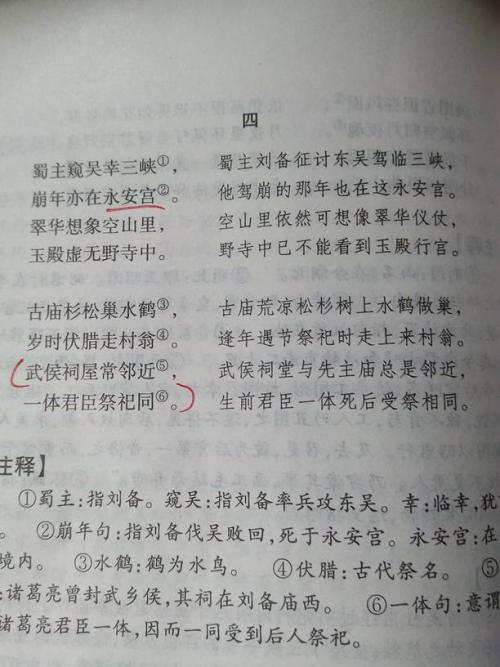 关于关怀的好词和句子