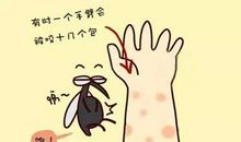蚊子的经典句子