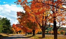 形容秋天的景色的句子 描写秋天景色优美句子