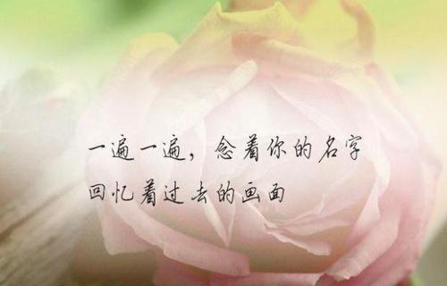 爱情句子