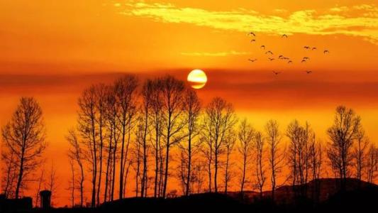 描写夕阳红的诗