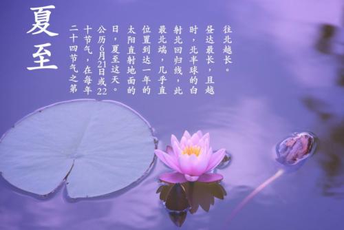 描述草原的古诗