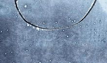 具有文采的抒情句子