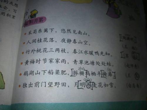 好的单词和句子