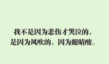 描写热情的句子