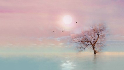 非主流美学句子