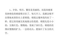 描写梅花的好句好段