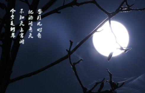 中秋诗词表达小姐