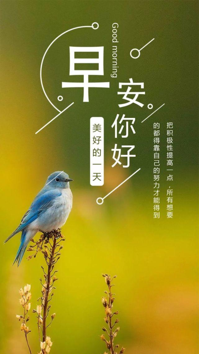 阳光励志名言
