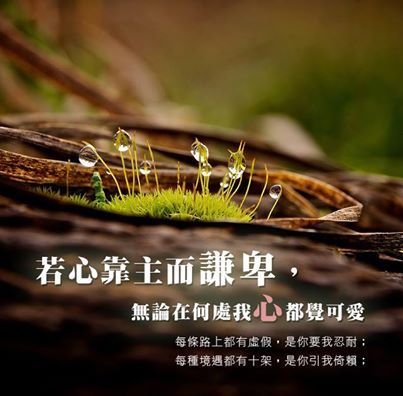 马修经典语录