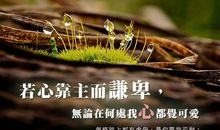 马太福音经典语录