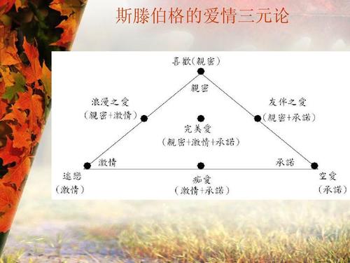爱的真meaning