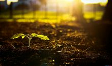 比较乐观向上的座右铭