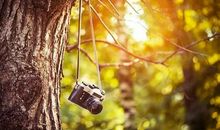 爱情短语人生感悟