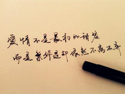 爱情句子