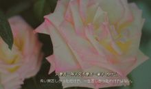 阳光简短的励志唯美句子 走心的励志简短说说语录