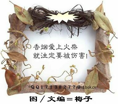 爱情语录