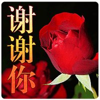 谢谢你，朋友