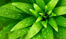 描写惆怅心情的句子