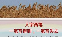 关于人生得失的名言