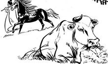 马的成语及解释