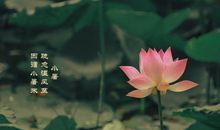 小暑节气短信祝福语大全 适合小暑文问候祝福语说说