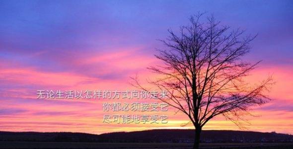 励志词与八个词
