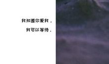 荆棘鸟经典句子