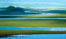 描写草原优美的句子