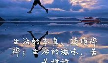 2017最精辟最火的句子