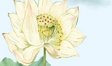 描写快乐生活的句子