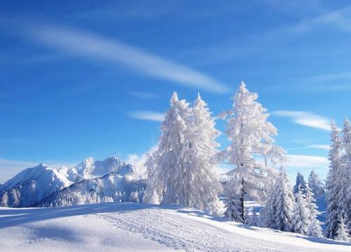 描写冬天下雪的诗歌大全