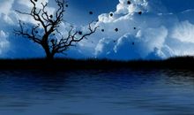 借春抒情的诗句