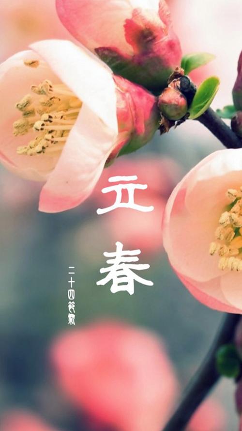 审美丽春句