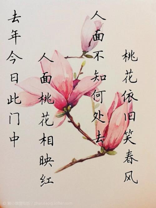 关于桃花的感伤句子