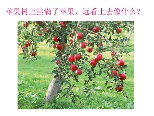 蔬菜比喻句