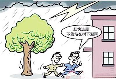 关于雷暴的谚语