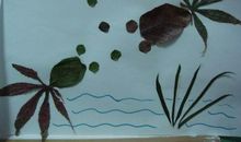 有关蝌蚪的比喻句