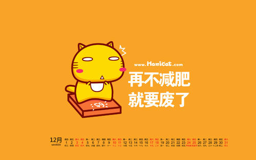 减肥报价