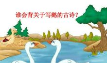 关于写鹅的比喻句