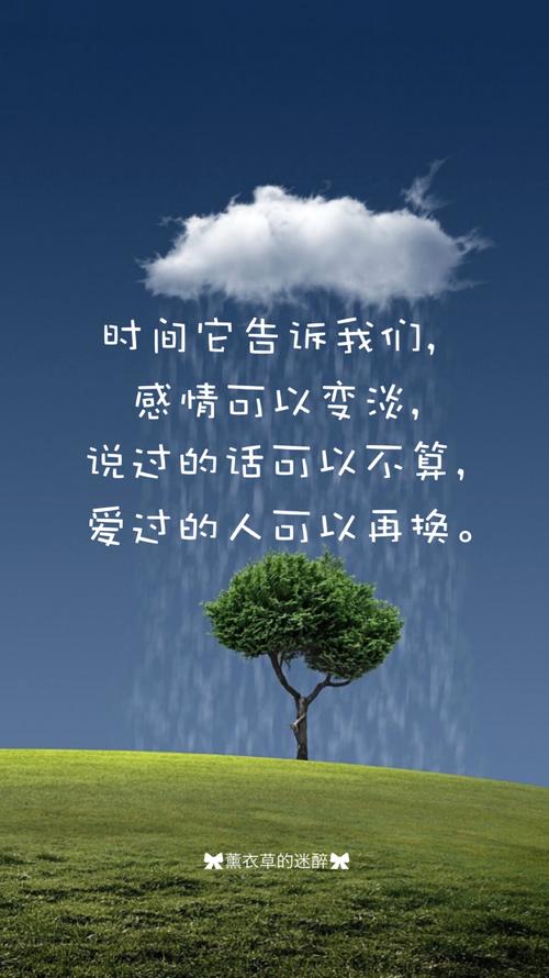 阳光行情