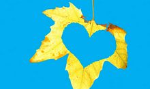 形容叶子的比喻句