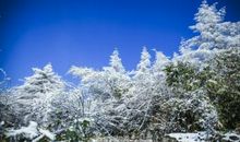 描写雪后的比喻句