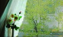 窗外下雨的伤感说说