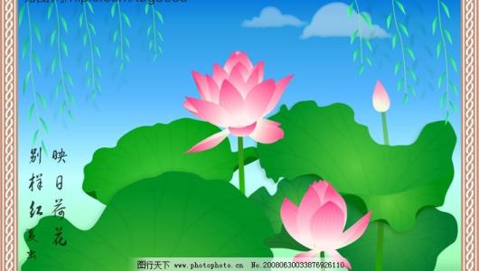 夏莲寓言