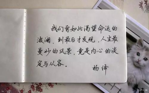 斗隐90年代后句