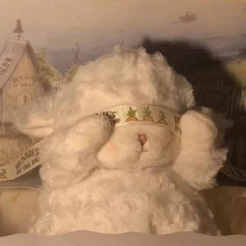 可爱的朋友圈谈论