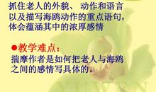 形容老人外貌的句子